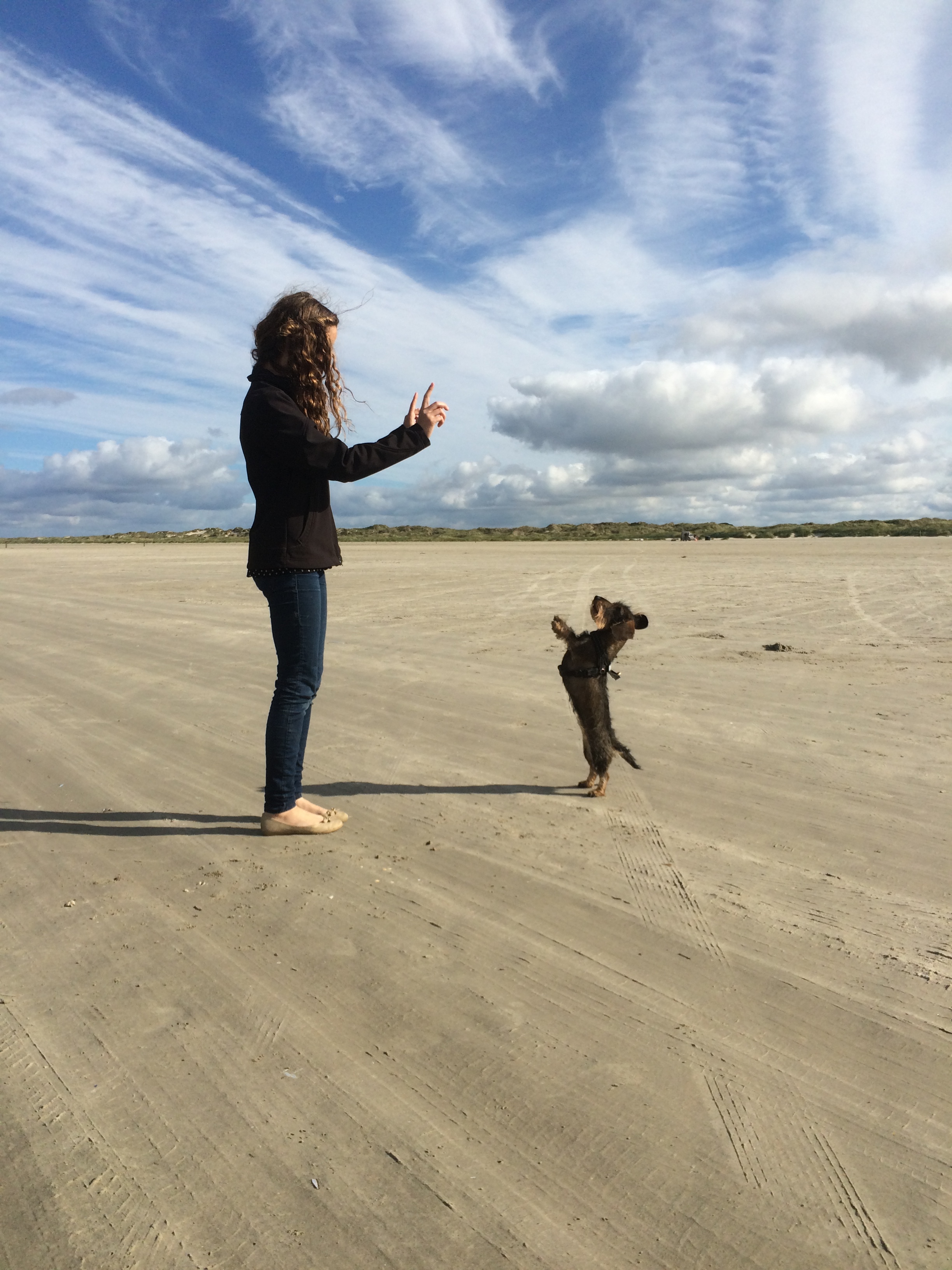Border Collies &quot;Of Dunmore Park&quot; Unsere Hunde